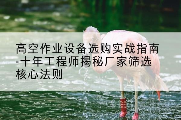 贵池剪叉式升降机厂家-高空作业设备选购实战指南-十年工程师揭秘厂家筛选核心法则