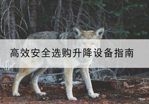 贵池升降货梯厂家推荐-*安全选购升降设备指南