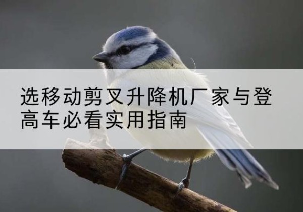 贵池电动升降机厂家-选移动剪叉升降机厂家与登高车必看实用指南