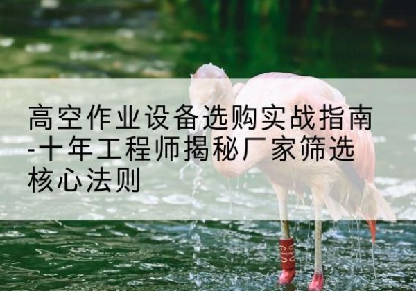 贵池剪叉式升降机厂家-高空作业设备选购实战指南-十年工程师揭秘厂家筛选核心法则